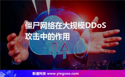 僵尸网络在大规模DDoS攻击中的作用